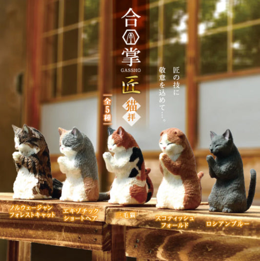 Gassho Takumi Nekohai Praying Cat Blind Box