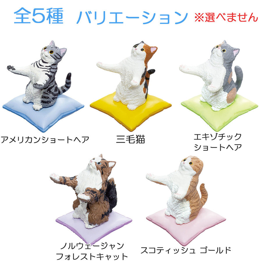 Neko Will Hold It For You Blind Box