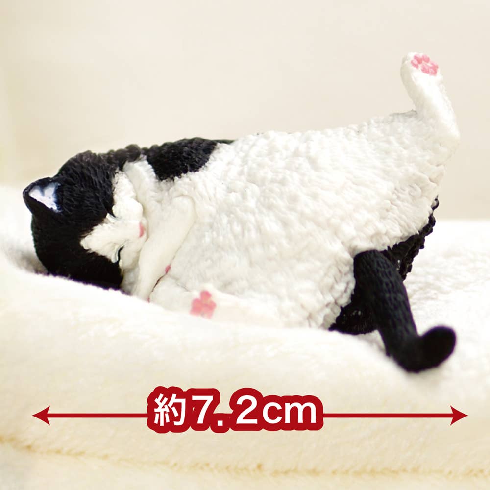 Sleepy Still Sleepy Blind Box