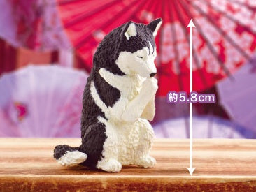 Gassho Takumi Inuhai Series 2 Blind Box