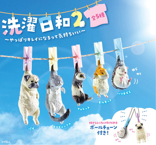 Laundry Weather Series 2 Blind Box
