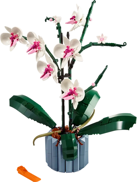 LEGO Botanical Collection Orchid