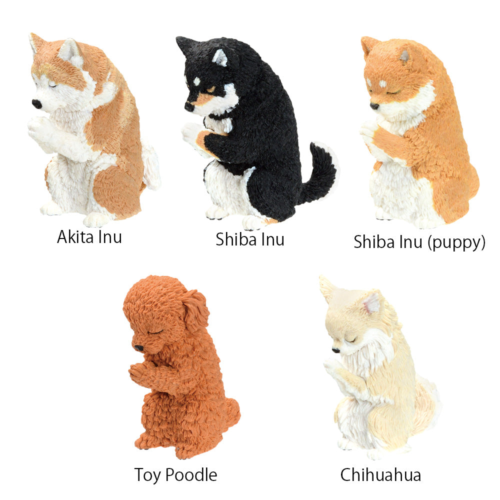 Gassho Takumi Inuhai Blind Box
